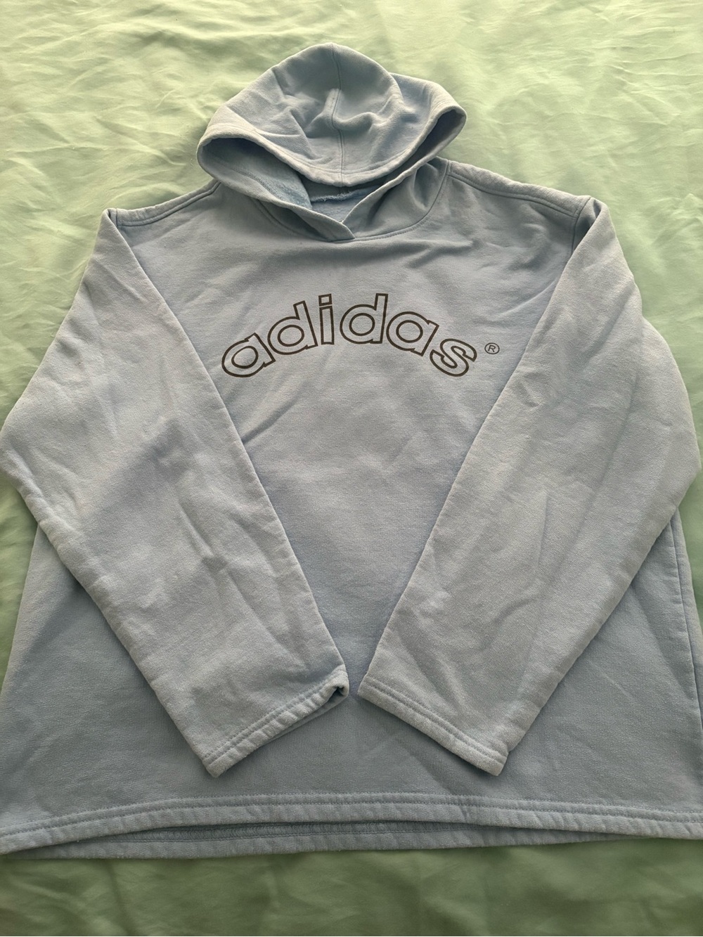 adidas Light Blue Hooded Sweatshirt with Logo